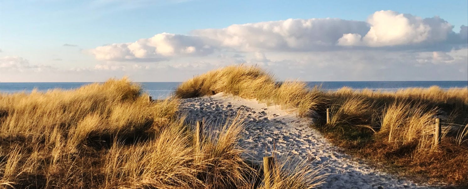 Ostsee im Winter Butterstulle Catering Berlin